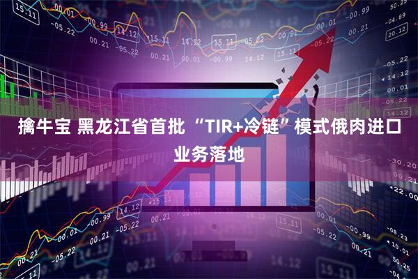 擒牛宝 黑龙江省首批 “TIR+冷链”模式俄肉进口业务落地