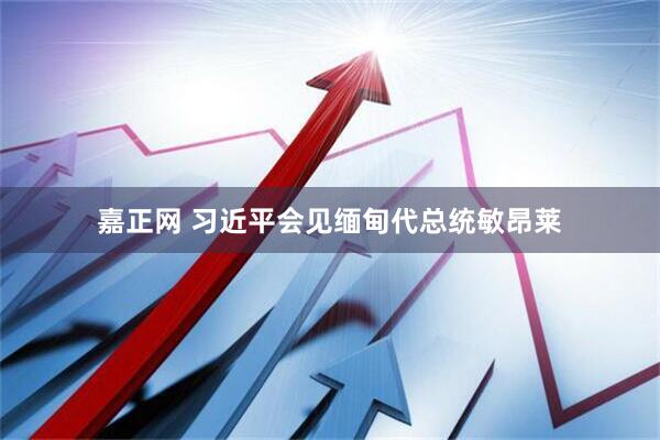 嘉正网 习近平会见缅甸代总统敏昂莱