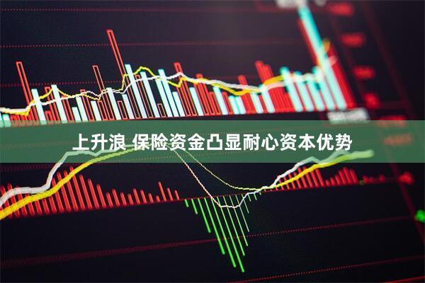 上升浪 保险资金凸显耐心资本优势