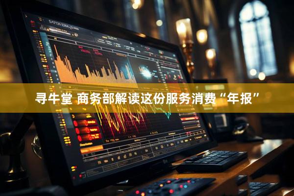 寻牛堂 商务部解读这份服务消费“年报”