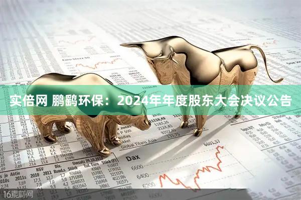 实倍网 鹏鹞环保：2024年年度股东大会决议公告