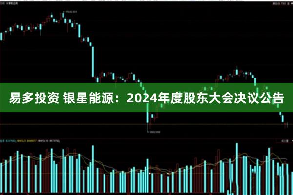 易多投资 银星能源：2024年度股东大会决议公告