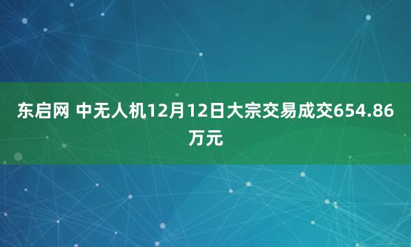 东启网 中无人机12月12日大宗交易成交654.86万元